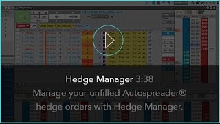 Hedge Manager